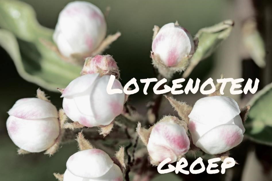 Lotgenotengroep voor vrouwen die in het verleden te maken hebben gehad met seksueel misbruik.